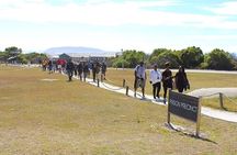 Robben Island Adventure Full Tour