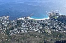 Cape Town Half-Day Table Mountain Tour