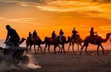 Marrakech: Agafay Desert Quad bike, Camles & Dinner Show 