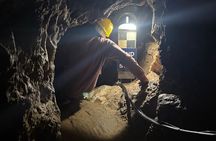 The Cradle of Humankind tour, Sterkfontein caves and Maropeng 