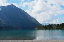 Arctic Day: Kluane National Park Tour | full day