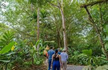 Guided Walk in the Tropical Forest with Typical Lunch