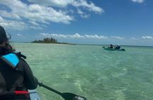 Nassau's Exclusive Kayaking Snorkeling Beach Adventure (6 Max)