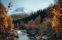 13-day Norway tour with nature, art, and deep transformation