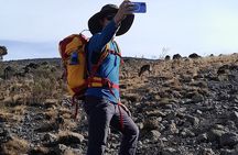 Kilimanjaro Group Trek Lemosho Route 8 Days