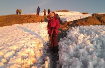 Kilimanjaro Group Trek Lemosho Route 8 Days