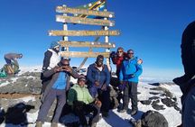 Kilimanjaro Group Trek Lemosho Route 8 Days