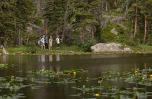 Private Hike Emerald Lake In Rocky Mountain National Park