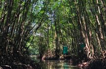 Private Tour Can Gio Mangrove Biosphere 