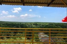 Private Tour Can Gio Mangrove Biosphere 