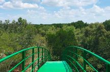 Private Tour Can Gio Mangrove Biosphere 