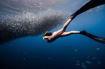 Discover Freediving One Amazing Day