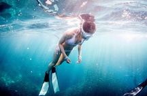 Discover Freediving One Amazing Day