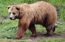 Fortress of the Bear & Totems Historical Tour