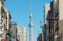 Private Customizable Full Day Tokyo tour