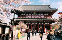 Private Customizable Full Day Tokyo tour