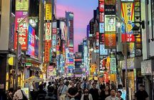 Private Customizable Full Day Tokyo tour