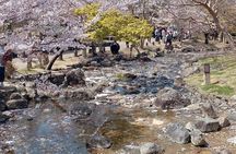 Explore Hidden Kyoto by E-Bike: Private, Scenic & Fun