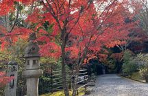 Explore Hidden Kyoto by E-Bike: Private, Scenic & Fun