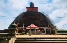 Exclusive 8 Day Heritage, Nature and Beaches Journey in Sri Lanka