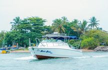 Mirissa Sunset Tour on a Luxury Speed Boat with Hotel Pickup