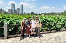 Tokyo Private Tour: Temples, Culture & Modern City Highlights