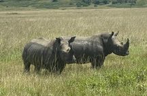 Akagera National Park 1 day Safari Experience