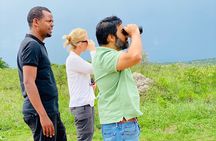 Akagera National Park 1 day Safari Experience