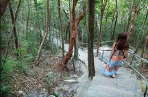 Private Tour In Langkawi With Sky Bridge And Cable Car