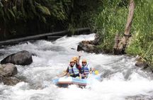 ATV Quad Bike, White Water Rafting and Sangeh Monkey Forest Tour