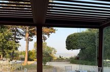 Between Vineyards and History: Taste Experience DA Orvieto