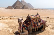 Alexandria Port Pyramids of Giza and Grand Museum