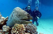 Professional Diving Expedition with Transfers & Lunch – Hurghada