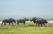 4-Day Group Tour Explore Tarangire, Serengeti and Ngorongoro
