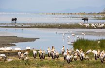 7 Day Tanzania Adventure of Wildlife and Tribal Cultures