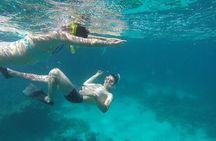 Private Speedboat Swim with Dolphins, Water Sports - Hurghada