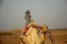Marsa Alam Desert Safari: Quad Biking, Jeep Tour, Bedouin &Show