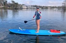 Paddleboard Rental – Three Sisters Springs & Manatee Refuge