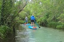 Paddleboard Rental – Three Sisters Springs & Manatee Refuge