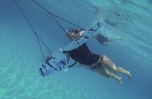 Swimming with Dolphins by Private Speed Boat - Hurghada