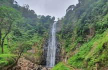 Waterfalls Hike , Coffee tour & Moshi city experience Day Trip.