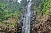 Waterfalls Hike , Coffee tour & Moshi city experience Day Trip.