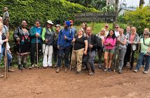 Waterfalls Hike , Coffee tour & Moshi city experience Day Trip.