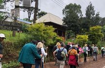 Waterfalls Hike , Coffee tour & Moshi city experience Day Trip.