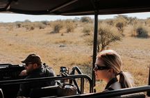 3 Hours Big 5 Safari at Aquila Game Reserve from Cape Town
