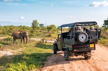 Aquila Game Reserve Safari Day Tour from Cape Town