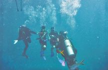 Scuba Diving Open Water PADI Course - Sharm El Sheikh