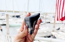 Shark Tooth and Shell Hunting Tour in Charleston, SC
