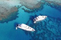 Tiran Island Two Dive Stops Experience & Lunch - Sharm El Sheikh 
