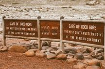 Cape of Good Hope Full Day Tour with Boulders Beach Penguins